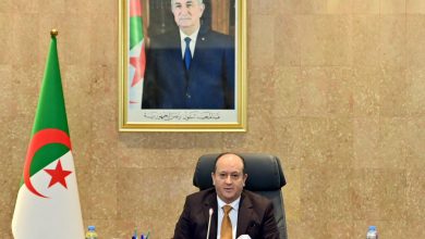 خلال اجتماع الحكومة برئاسة الوزير الأول، سيفي غريب