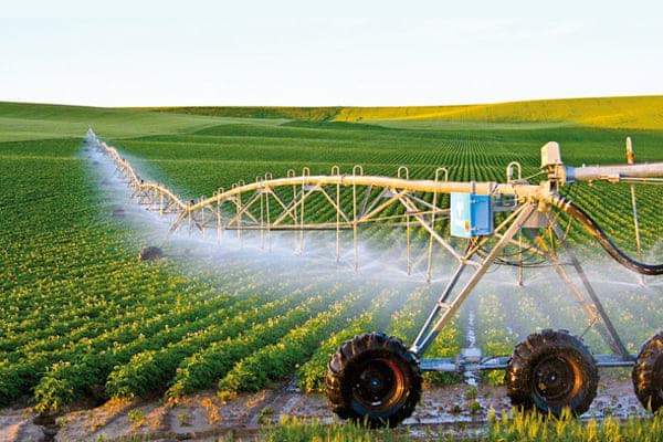 ولاية عين تموشنت.. أكثر من 150 مشروعا استثماريا مجسدا في الميدان الفلاحي