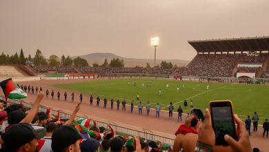 كاس الجزائر