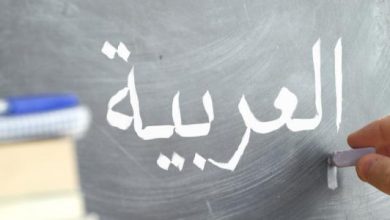 تنظيم ندوة فكرية بتلمسان تبرز دور اللغة العربية