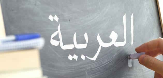 تنظيم ندوة فكرية بتلمسان تبرز دور اللغة العربية