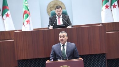 وزير البريد يبرز التزام قطاعه بتطوير الكابلات البحرية