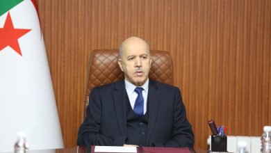 وزير العمل يبرز ضرورة اعتماد منظومة ذكية..