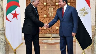 حول العلاقات المصرية الجزائرية