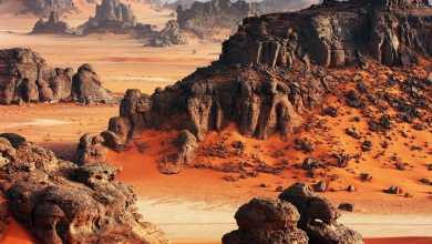 أيام الطاسيلي التكوينية