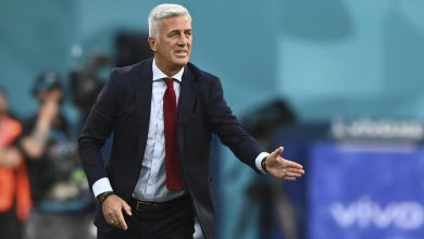 المدرب "فلاديمير بيتكوفيتش"