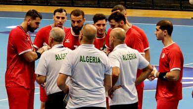 المنتخب الوطني لكرة اليد