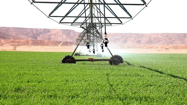 "سونلغاز" تواصل ربط المستثمرات الفلاحية بالكهرباء 