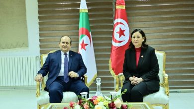 "سيفي غريب" يجدد التأكيد على صلابة العلاقات مع تونس