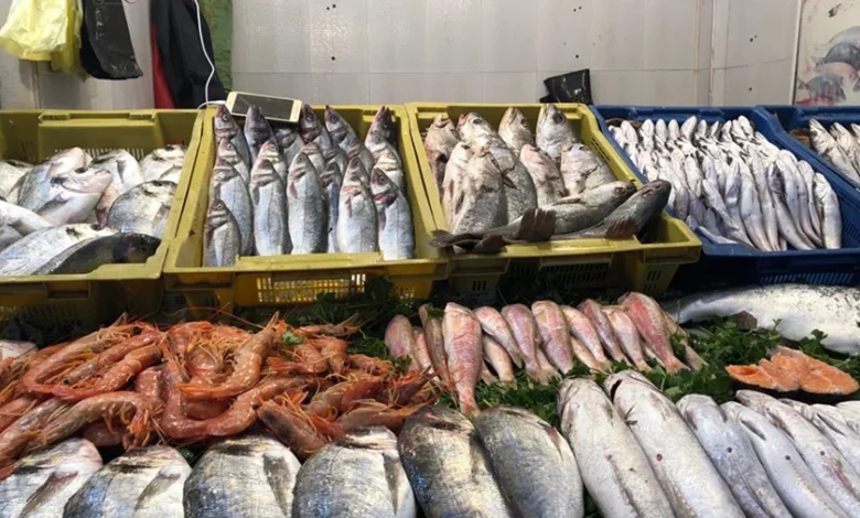 فتح 390 نقطة بيع مباشر لمنتجات الصيد البحري