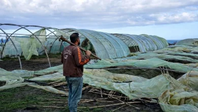 وزارة الفلاحة تبدأ في إحصاء الفلاحين والمربين المتضررين