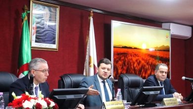 وزير الفلاحة ياسين وليد يشرف على لقاء تحضيري لحملة الحصاد والدرس 2025-2026