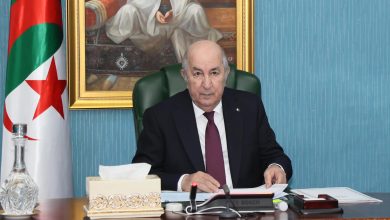 الرئيس عبد المجيد تبون خلال اجتماع حول تطوير قطاع المناجم والحديد في الجزائر