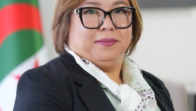 نسيمة أرحاب خلال اجتماع دولي حول التكوين المهني والمهارات الشبابية