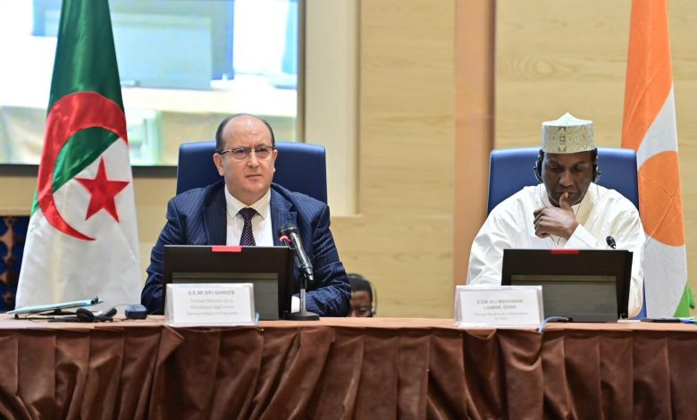 سيفي غريب يختتم اللجنة المشتركة الجزائرية-النيجرية