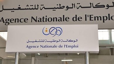 الوكالة الوطنية للتشغيل تعالج طلبات منحة البطالة في الجزائر