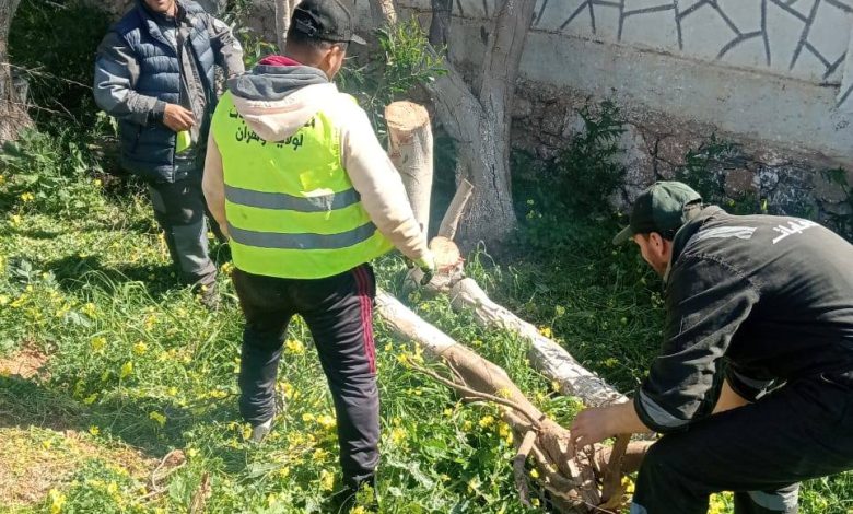 تهيئة الغابات في وهران وتنظيف المسارات لموسم الصيف