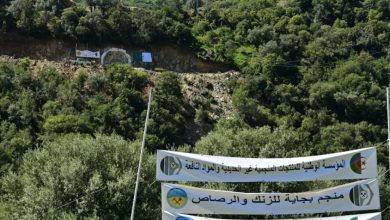 اجتماع بين الجزائر والنيجر لتعزيز التعاون في مجال الأدوية واللقاحات