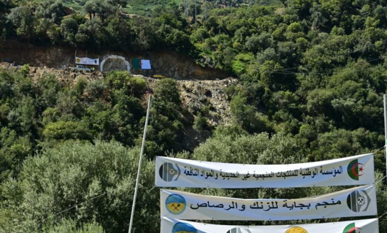 اجتماع بين الجزائر والنيجر لتعزيز التعاون في مجال الأدوية واللقاحات