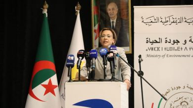 وزيرة البيئة كوثر كريكو خلال افتتاح اللقاء الوطني حول الأصناف النباتية والسد الأخضر