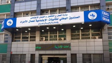 بوابتك الرقمية نحو خدمات الضمان الاجتماعي