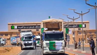 سفراء إفريقيا يشيدون بديناميكية الصادرات الجزائرية