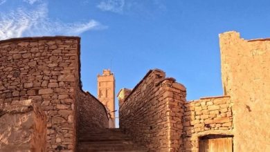 إدراج قصر الصفيصيفة ضمن القطاعات المحفوظة