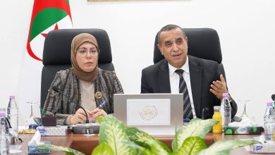 لتعزيز التحول الرقمي بين القطاعات