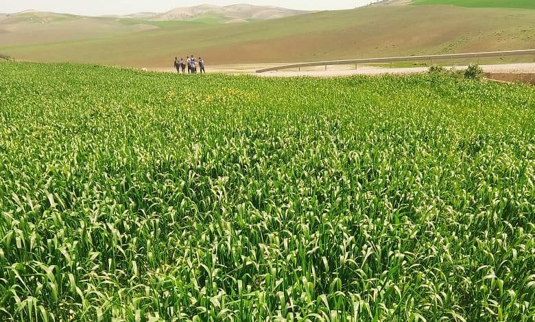 مواقع التواصل الاجتماعي