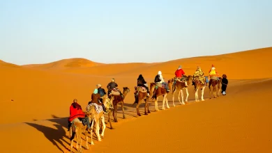 حصيلة إيجابية لموسم السياحة الصحراوية 2025-2026