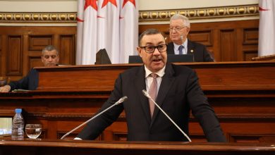 سعيود يجدد التزام الدولة بتعميق الديمقراطية التشاركية