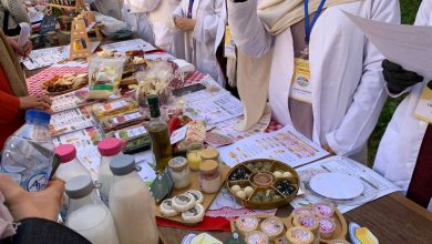 جامعة البليدة 1