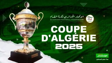 أطباق كروية مثيرة لتحديد طرفي النهائي