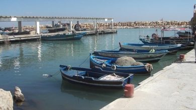 صيادون في موانئ وهران ضمن دراسة حول الصحة النفسية والاجتماعية