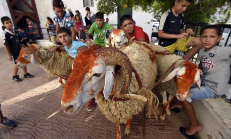 عيد الأضحى تلمسان