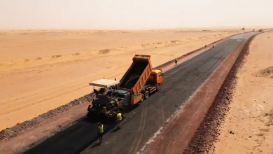 الجزائر وتشاد تعززان التعاون عبر الطريق العابر للصحراء