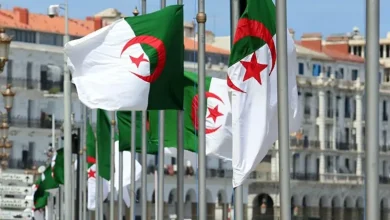 بمناسبة عيد العمال، الخبير "محمد خدام" لـ"البديل"