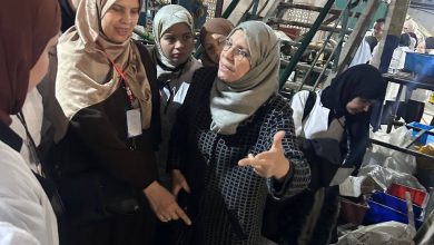 الصناعات الكيميائية
