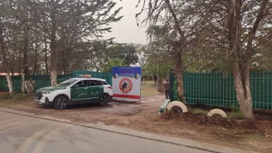 محافظة الغابات