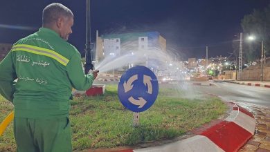 استمرار عمليات العناية بالمساحات الخضراء بولاية سعيدة