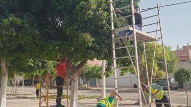 بلدية الكرمة...التركيز على تنشيط التنمية المحلية