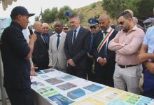 شواطئ الشلف