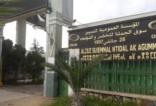 ضخ 727 طنا من الفواكه الإستوائية بسوق الكرمة
