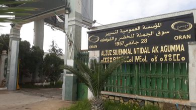 ضخ 727 طنا من الفواكه الإستوائية بسوق الكرمة