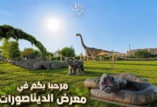 وهران : الديناصورات تعود إلى الحياة وتستقطب العائلات بالقرية المتوسطية