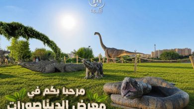 وهران : الديناصورات تعود إلى الحياة وتستقطب العائلات بالقرية المتوسطية