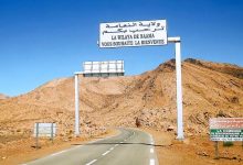النعامة