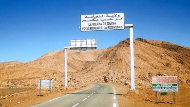 النعامة