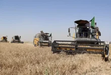 استحداث خلية لمرافقة الفلاحين بسعيدة