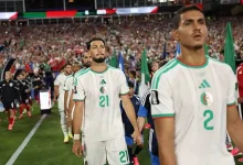 الدفاع الجزائري